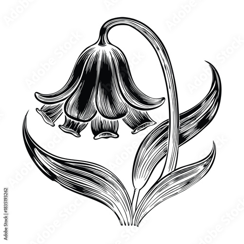 Vector design of bluebell flowers with realistic stems leaves and charming spring aesthetic