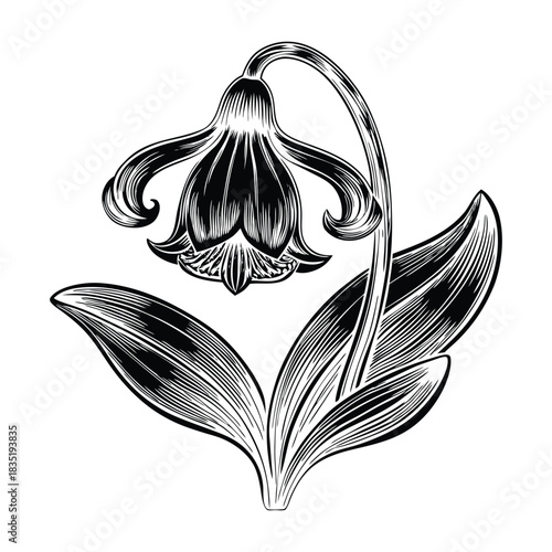 Artistic hand drawn bluebell flowers vector illustration with natural curves and delicate stems