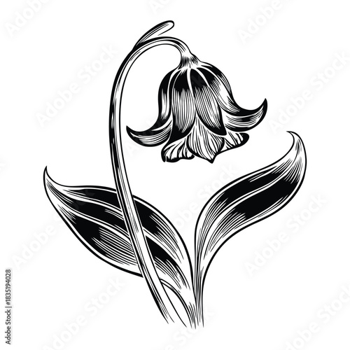 Elegant bluebell flowers vector artwork for greeting cards invitations and decorative designs