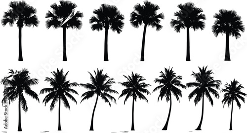 Ultimate Botanical Silhouettes Vector Collection, Featuring Deciduous, Conifer, Palm Trees, Flowering Species, Shrubs, and Tropical Plants, Perfect for Landscaping, Map Graphics, and Nature Design.
