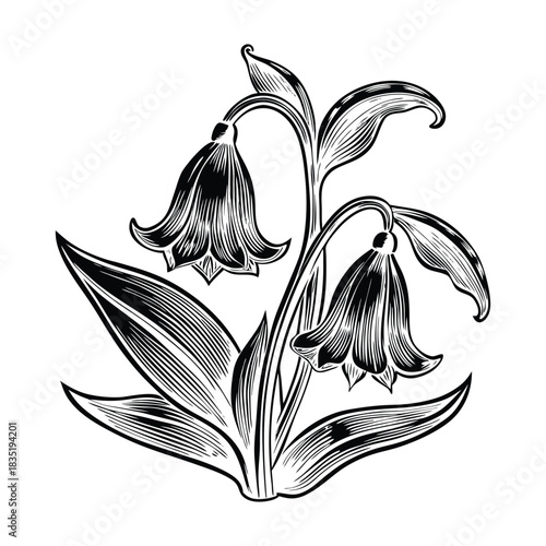 Hand drawn bluebell flowers bouquet vector with vibrant colors and elegant spring floral design