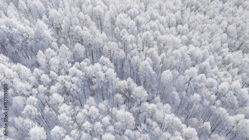 Snowy Scenery of the Greater Khingan Mountains