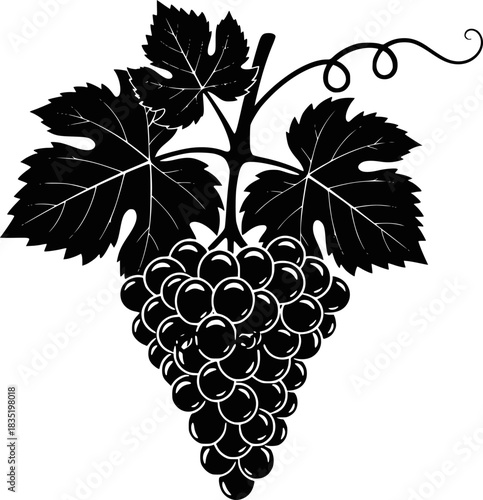 Black silhouette of grapes. Vector illustration of black silhouette of bunch of grapes with leaves. Transparent background EPS version.