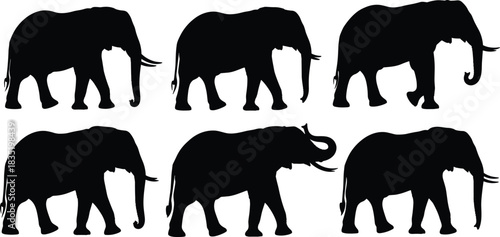 Set of African elephant silhouettes, black vector illustration collection of wild animals walking, big mammals isolated on white background for safari design.