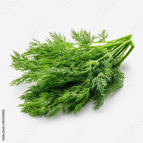 Close up shot of a fresh bunch of green dill herb with stems on a white background