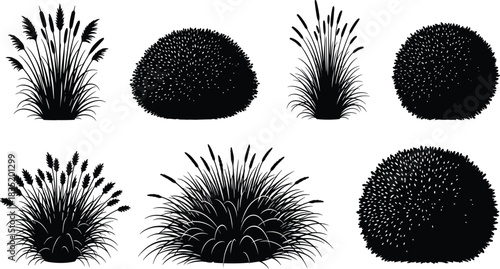 Ornamental Grass and Round Bush Silhouette Collection Vector Set, Featuring Cattail, Pampas, and Various Garden Shrubs for Landscape Design and Botanical Illustrations.