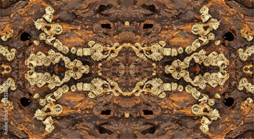 weathered barnacle macro photography showing intricate textures ideal for nature blogs illustrating marine life wildlife and scientific education purposes.