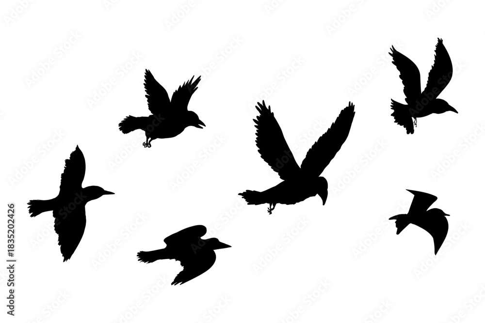 Fototapeta premium Flying flock of birds silhouette, Simple swallows in flight, crows in the sky. Group of birds border.