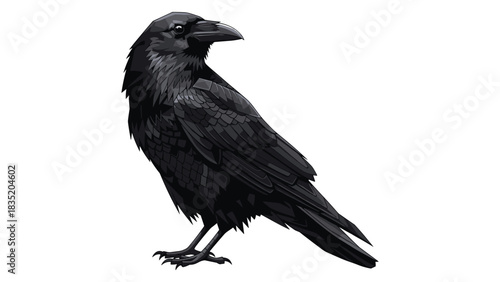 Detailed raven artwork with geometric style on white background