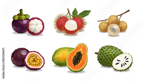 Tropical exotic fruits collection with geometric design style on white background