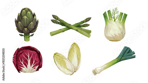 Low poly vegetables artichoke, asparagus, fennel, radicchio, endive, leek