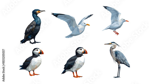 Geometric bird collection featuring low poly sea birds in various poses
