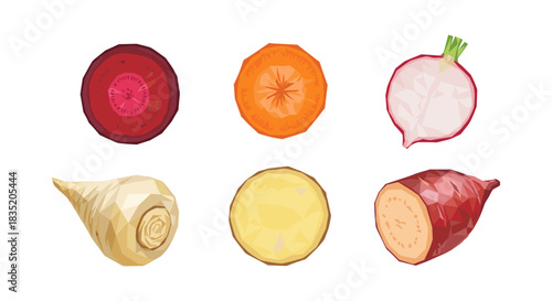 Geometric low poly vegetables slices on white background