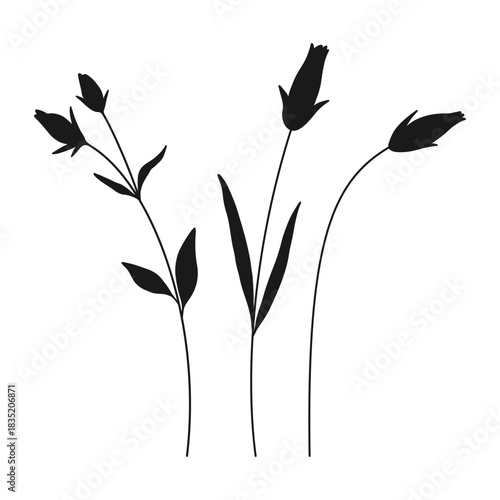 Set of silhouette wildflower buds in black color, white background. Hand-drawn flowers and leaves. Wild plants for design projects. Vector illustration