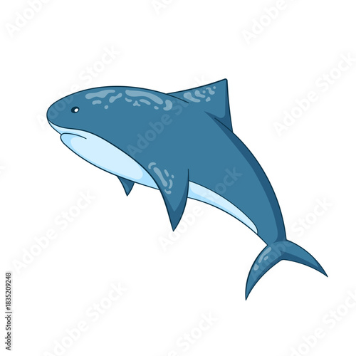 Shark character in cartoon style isolated on a white background.