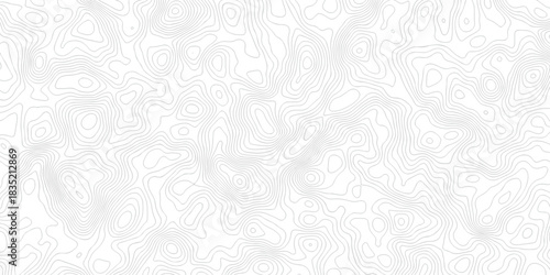 Abstract pattern with lines seamless pattern and topography map and counter map. abstract sea map area space geometric line technology topo landscape grid map texture.	
