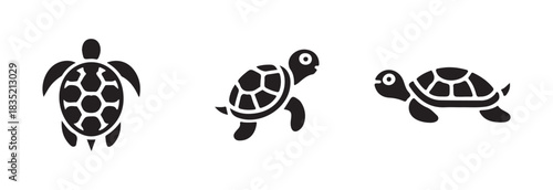 Set of three baby turtle vector icons with detailed shell patterns walking and swimming on white isolated background