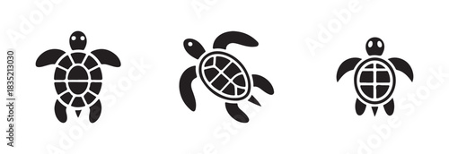 Set of three sea turtle vector icons swimming in different positions on white isolated background