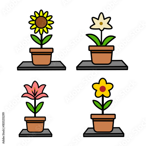 Colorful Garden Flowers on Display