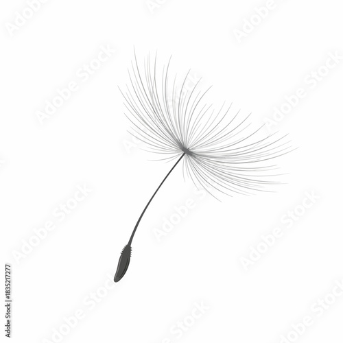 A grayscale illustration of a single dandelion seed parachute floating on white