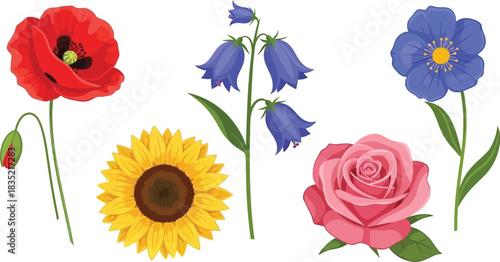 Collection of watercolor wildflowers poppy sunflower rose flax and bellflower