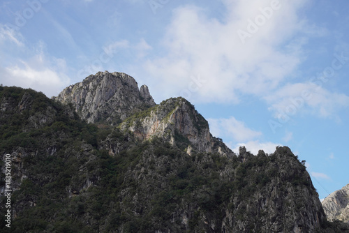 Limestone peaks overlook pine forest in La Hermida valley - Here is a rewritten description that follows the specified rules: Panoramic landscape featuring lush green trees, scattered clouds