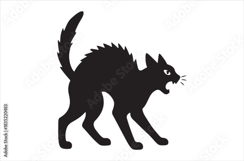A silhouette of a black cat with an arched back and hissing expression