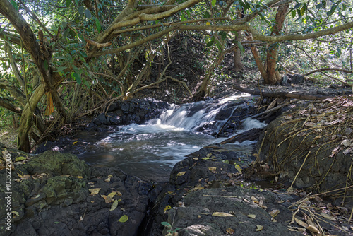 A hidden, smooth flowing waterfall cascades over dark volcanic rocks in a lush, dense tropical forest. The scene is framed by tangled branches and green foliage.