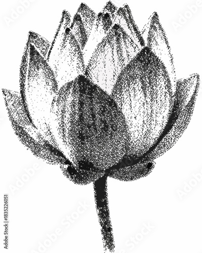 Black and white sketch of a lotus flower with textured petals