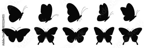 Flying Butterflies Silhouette, a versatile vector collection featuring various flying insect silhouettes, including butterflies, for design, art projects, nature illustrations, and decorative graphics