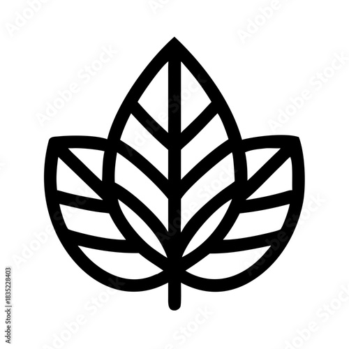 A black and white image of a cat s face