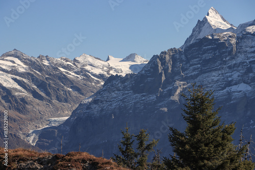 Wanderregion Berner Oberland; Blick vom Oberberghorn zum Finsteraarhorn