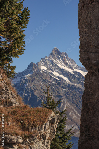 Majestätisches Schreckhorn vom Oberberghorn gesehen