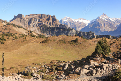 Wanderparadies Berner Oberland; Panorama von der Schynige Platte