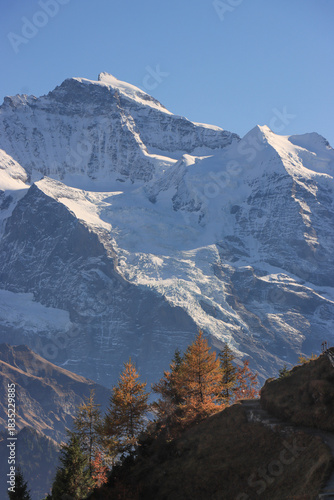Herbstliche Jungfrau, Blick von der Schynige Platte