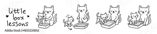 set of vector illusttations kitten learning litter box steps with parent guidance