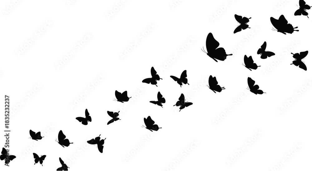 Obraz premium Black butterfly swarm silhouette ascending on white background for design