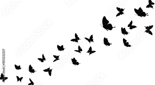 Black butterfly swarm silhouette ascending on white background for design
