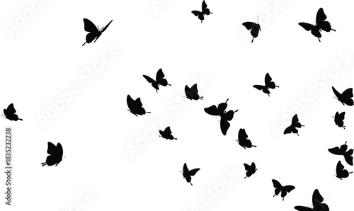 Silhouette of butterflies flying in a swarm on a white background