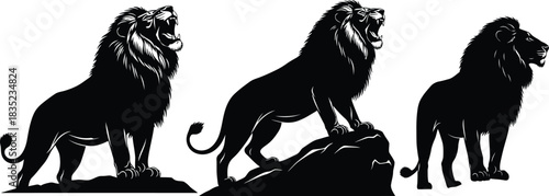 Three lions in silhouette majestic wildlife illustration in black and white