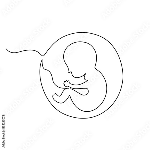 Baby embryo in womb. Continuous line of fetus in womb.one line drawing of baby fetus in mother's stomach in gestational age.