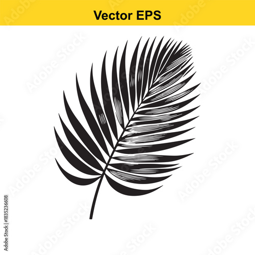 Stylized black palm frond vector graphic on white background
