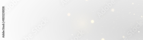 Sparkling Light Vector