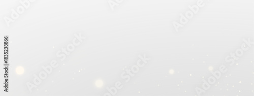 Sparkling Light Vector