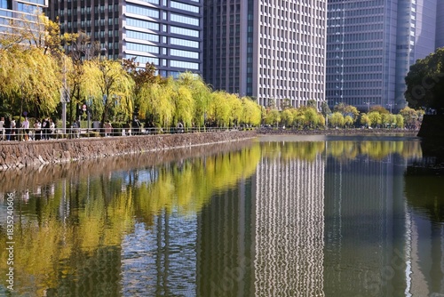 Willow trees and buildings reflected in the water