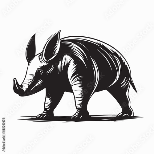 Aardvark Walking Wildlife Stock Illustration On white Background