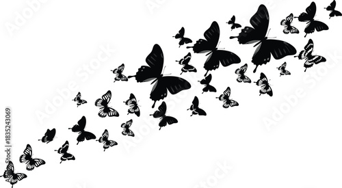 Elegant black butterfly swarm silhouette illustration, flying butterflies pattern, isolated insect group design, decorative vector artwork for nature themed projects, clipart