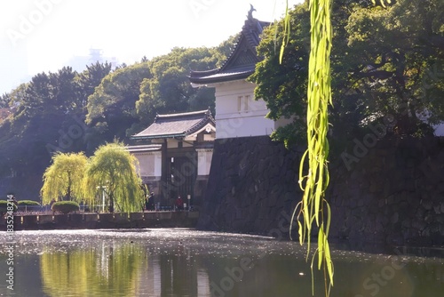 A moat scene with willow trees