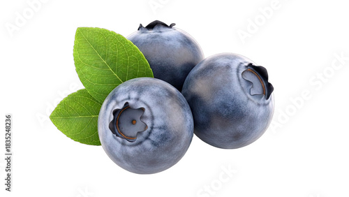 Blueberries with Leaves Isolated on White