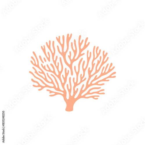 Coral Branch Illustration A Detailed Depiction of Marine Life.